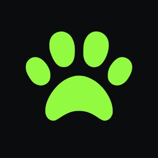 Aigital.co — ИИ-хаб для маркетинга и бизнеса