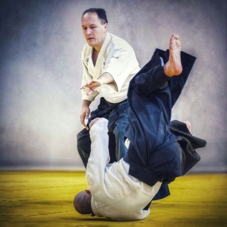 Ласков об айкидо