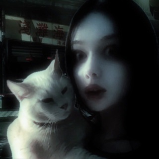 ﾟ⊹ angelic nemesis ⊹ﾟ