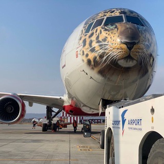 Аэропорт «Южно-Сахалинск»