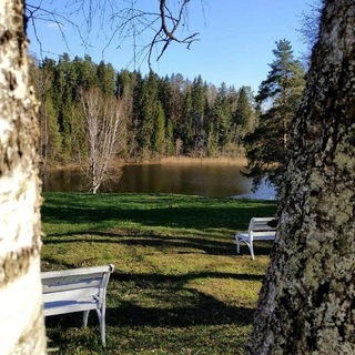 Дом творчества Академическая дача им.И.Е.Репина🍂🌿🎄❄️🖼✏️