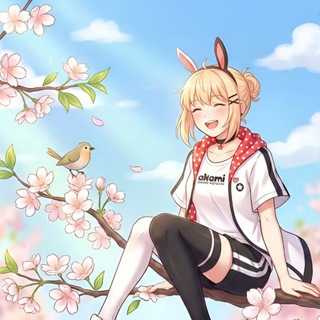 Аками Йошкар-Ола