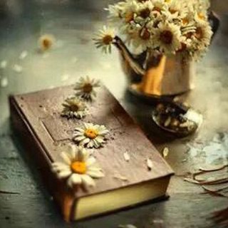 Akonit / Книжный досуг /