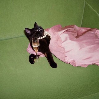 Раздаем стиль с Катей Акопян