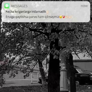 Aktivlarim😉😉😉