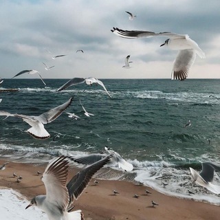 𝐀𝐊𝐓𝐀𝐔 𝐂𝐇𝐀𝐓