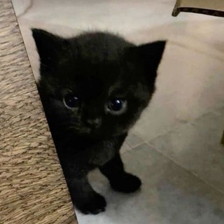 акушерское отделение