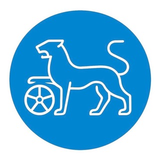 𝘼𝙇𝘼𝙉 𝙃𝘼𝙇𝙌