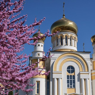 Владикавказская и Аланская епархия
