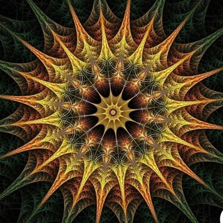 Фрактальный венчур / Аммар Аль-Анси