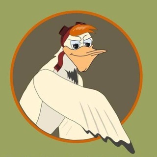 Альбатрос62