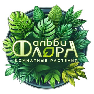 А᧘ьδᥙФ᧘᧐ρᥲ | 𐌺᧐ⲙнᥲᴛныᥱ ρᥲᥴᴛᥱнᥙя