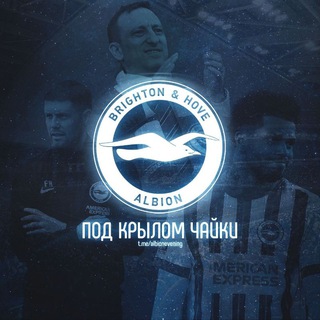 Под крылом чайки | Брайтон