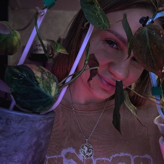 🍃Зелёные Заметки🍃