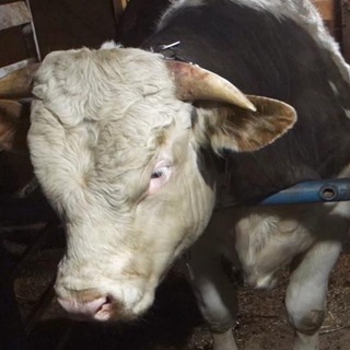 Александр Тюково Канал