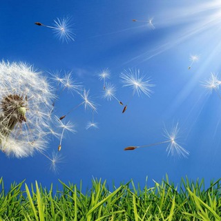 Добрый ветер