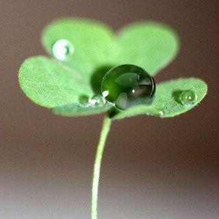 ПРО ЖИЗНЬ | ЗДОРОВЬЕ | РЕМОНТ | ТРЕНИРОВКИ