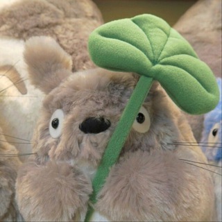 Закрыт (влоги айдолов // обои & музыка - кпоп