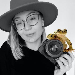 ФотоЖаба