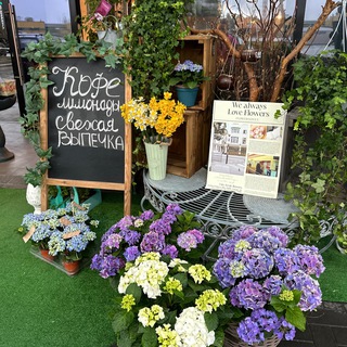 Alina in Gardenland/ Цветочная мастерская