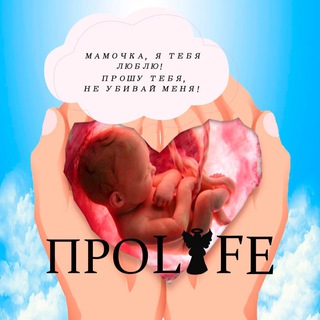 Твоё второе сердце