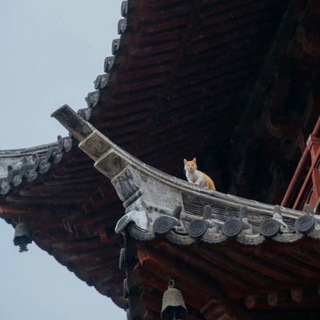 В НАЛИЧИИ • Китай Алисафа