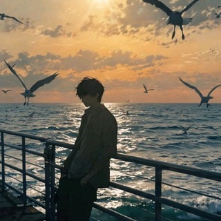 Блог видеомонтажера 🎬