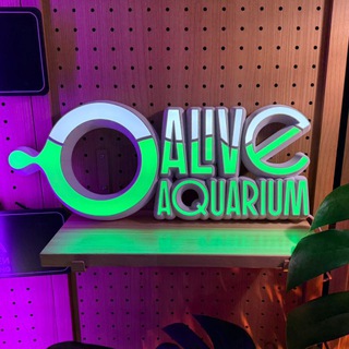 ЖИВОЙ АКВАРИУМ | мир живых экосистем