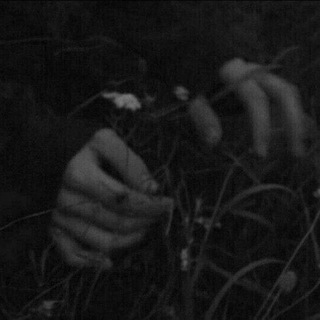 сквозь тьму..