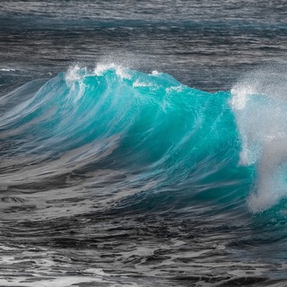 Всё про морЯ