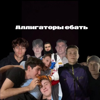 Аллигаторы