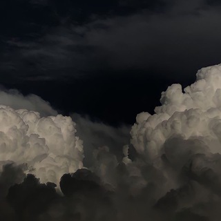 ᴀʟʟᴡᴇᴏx’’