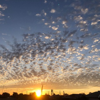 Информация Алмат.региона Ср.Аз. МСЦ ЕХБ