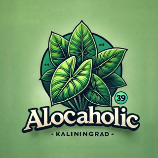 Алокаголик | Алоказии и не только | Калининград