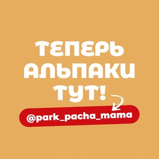 Парк альпак ПАЧА МАМА Новосибирск