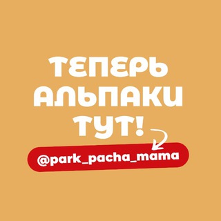 Парк альпак ПАЧА МАМА Тюмень