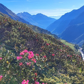 Ретриты в Альпах 🌄