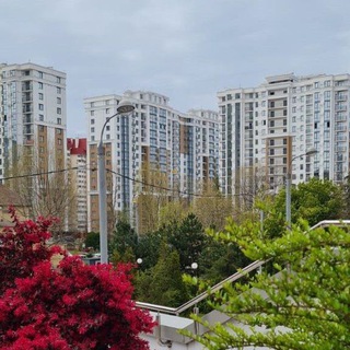 Квартиры в Сочи | Акции, срочные продажи, рассрочки от застройщика