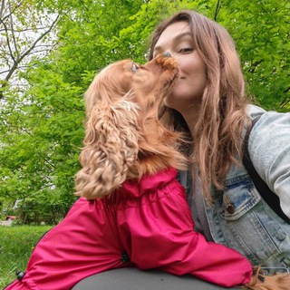 "Элвин и бурундуки"