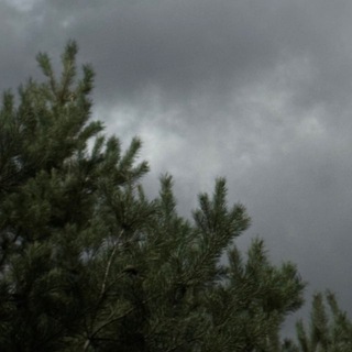 🦅 Взгляд свыше