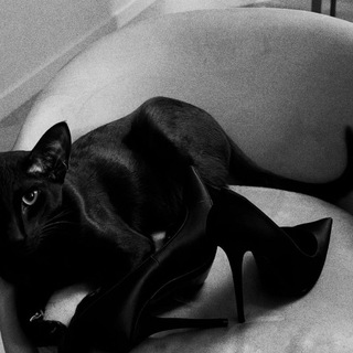 𝒂𝒍𝒚𝒆’𝒔