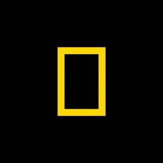 Удивительный мир