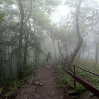 𝒅𝒊𝒔𝒌𝒍𝒆𝒊𝒎𝒆𝒓𑁤