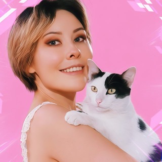 AmeriaHime и 🐱