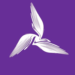 Бизнес-школа АМИ┃Executive MBA