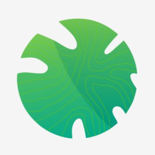 Amigos Digital — маркетинг и SEO продвижение