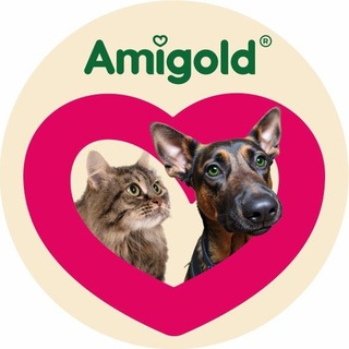 AmiGold