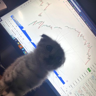 AMIRI | О КРИПТЕ 💰