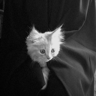 𝐚𝐦𝐢𝐯𝐨𝐢𝐧𝐬