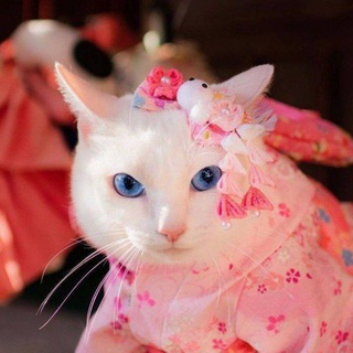 Просто чат #1